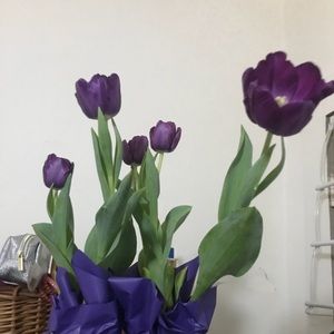 Meet your Posher, Lourdes